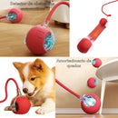 Bolinha Pet Inteligente - Rolamento Automático