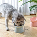 Comedouro e Bebedouro Elevado Ergonômico para Pet