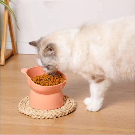 Comedouro e Bebedouro Elevado Ergonômico para Pet