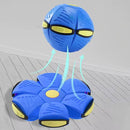 Bola Pet Disco Voador - Brinquedo Mágico