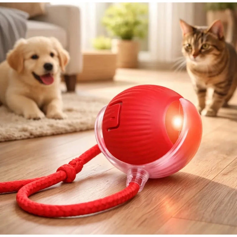 Bolinha Pet Inteligente - Rolamento Automático