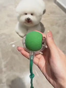 Bolinha Pet Inteligente - Rolamento Automático