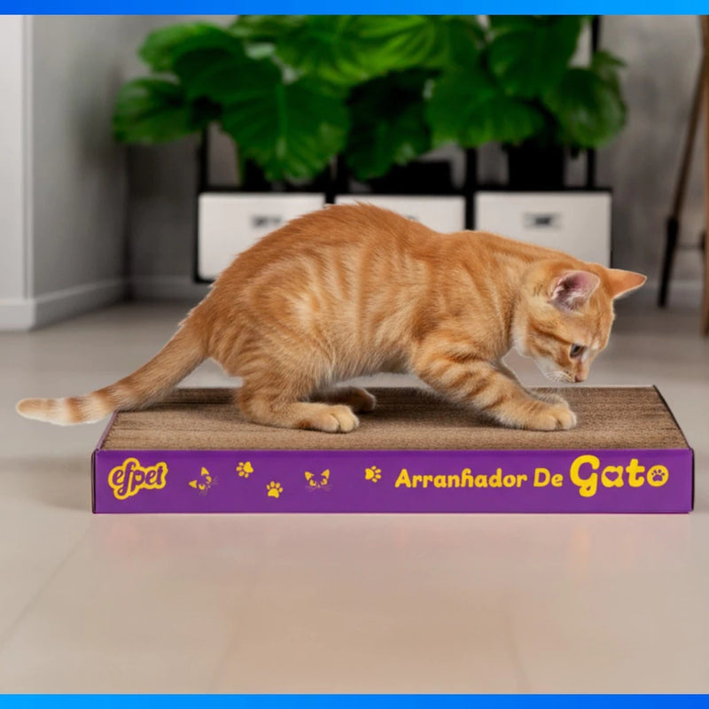 Brinquedo Arranhador Papelão Para Gato Interativo Anti-Stress ou Refil.
