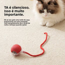 Bolinha Pet Inteligente - Rolamento Automático